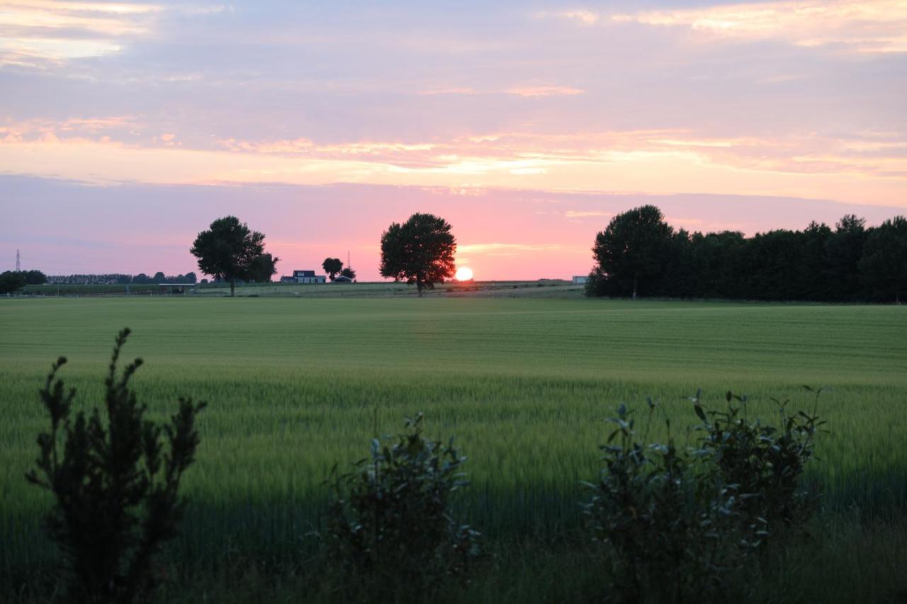 Amarksgard Guesthouse Lille Skensved 외부 사진